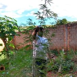 Helianosilvam5 from Goiania | Man | 31 years old | Gemini
