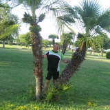 Piter from Plovdiv | Man | 46 years old | Capricorn