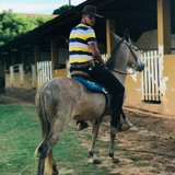 Igornatanvv9 from Visconde do Rio Branco | Man | 29 years old | Sagittarius