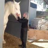 Pedrosjc from Birkirkara | Man | 60 years old | Capricorn