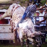Lennindiaz7Qe from Ciudad Valles | Man | 34 years old | Sagittarius