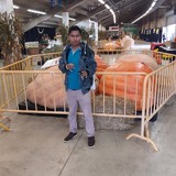 Robert77Fi from Huejutla de Reyes | Man | 27 years old | Virgo