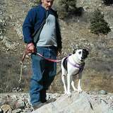 Rdbelk11Uy from Flint | Man | 61 years old | Sagittarius