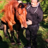 Ralfredogl06 from Santiago de Chile | Man | 68 years old | Sagittarius
