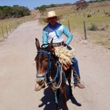 Alandroolivemu from Sao Luis de Montes Belos | Man | 22 years old | Scorpio
