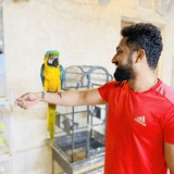 Neronalji from Singapore | Man | 32 years old | Capricorn