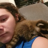 Maccorbettwg from Silver Springs Shores | Man | 24 years old | Aquarius
