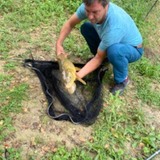 Chammartkz from Bern | Man | 47 years old | Scorpio
