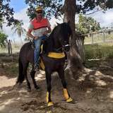 Marcelobastbc from Conceicao do Jacuipe | Man | 42 years old | Sagittarius