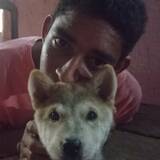 Kkemersonw7 from Sao Miguel do Araguaia | Man | 24 years old | Capricorn