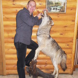 Professorti from Odessa | Man | 56 years old | Sagittarius